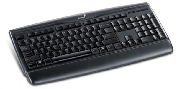 TECLADO GENIUS KB-120 USB